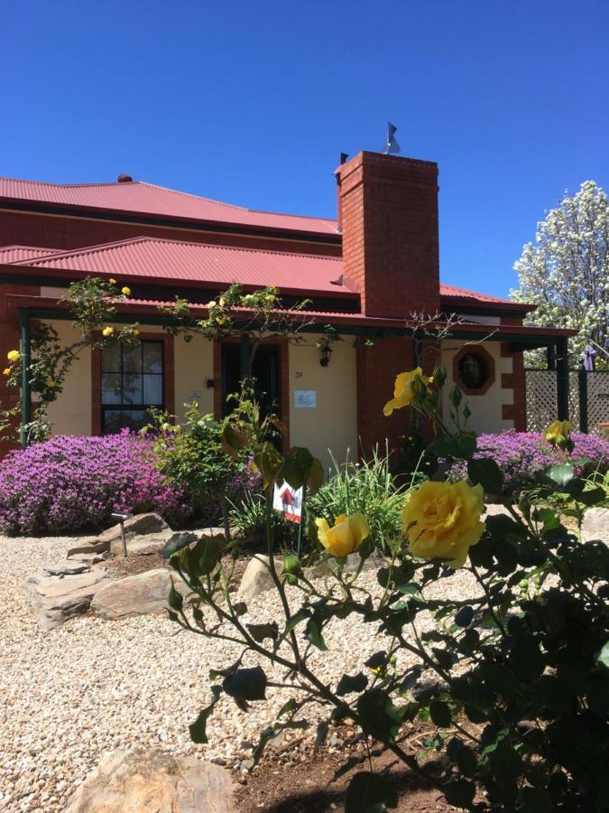 Wine And Roses Bed And Breakfast Adelaide Exteriér fotografie