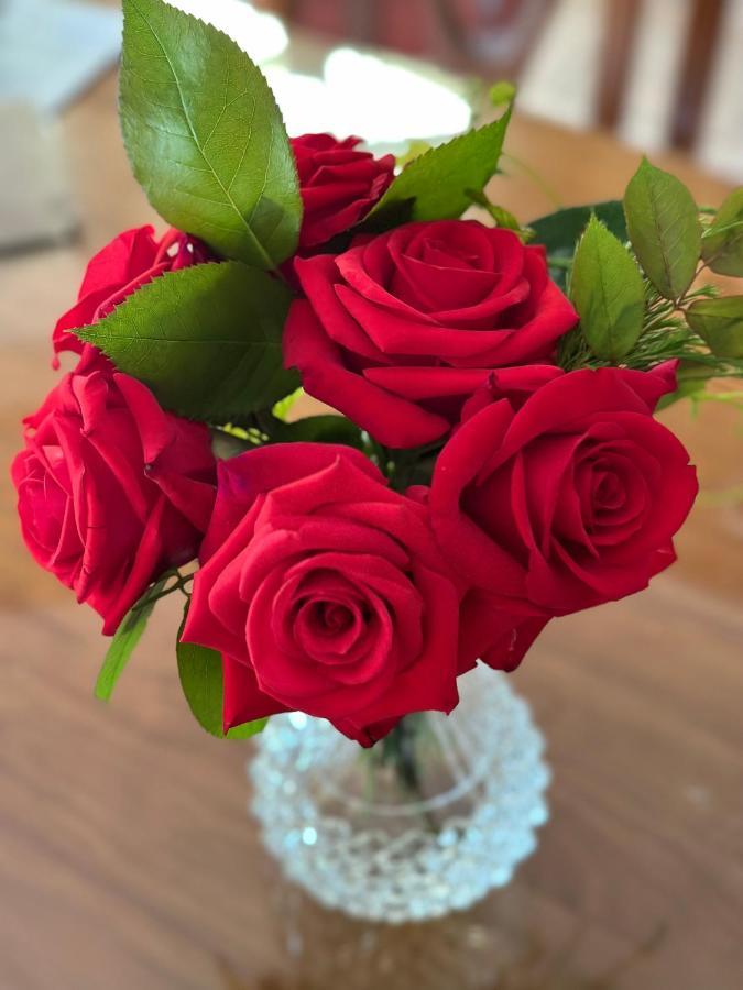 Wine And Roses Bed And Breakfast Adelaide Exteriér fotografie