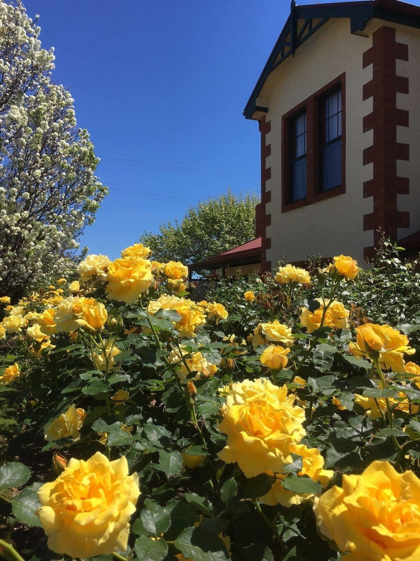Wine And Roses Bed And Breakfast Adelaide Exteriér fotografie